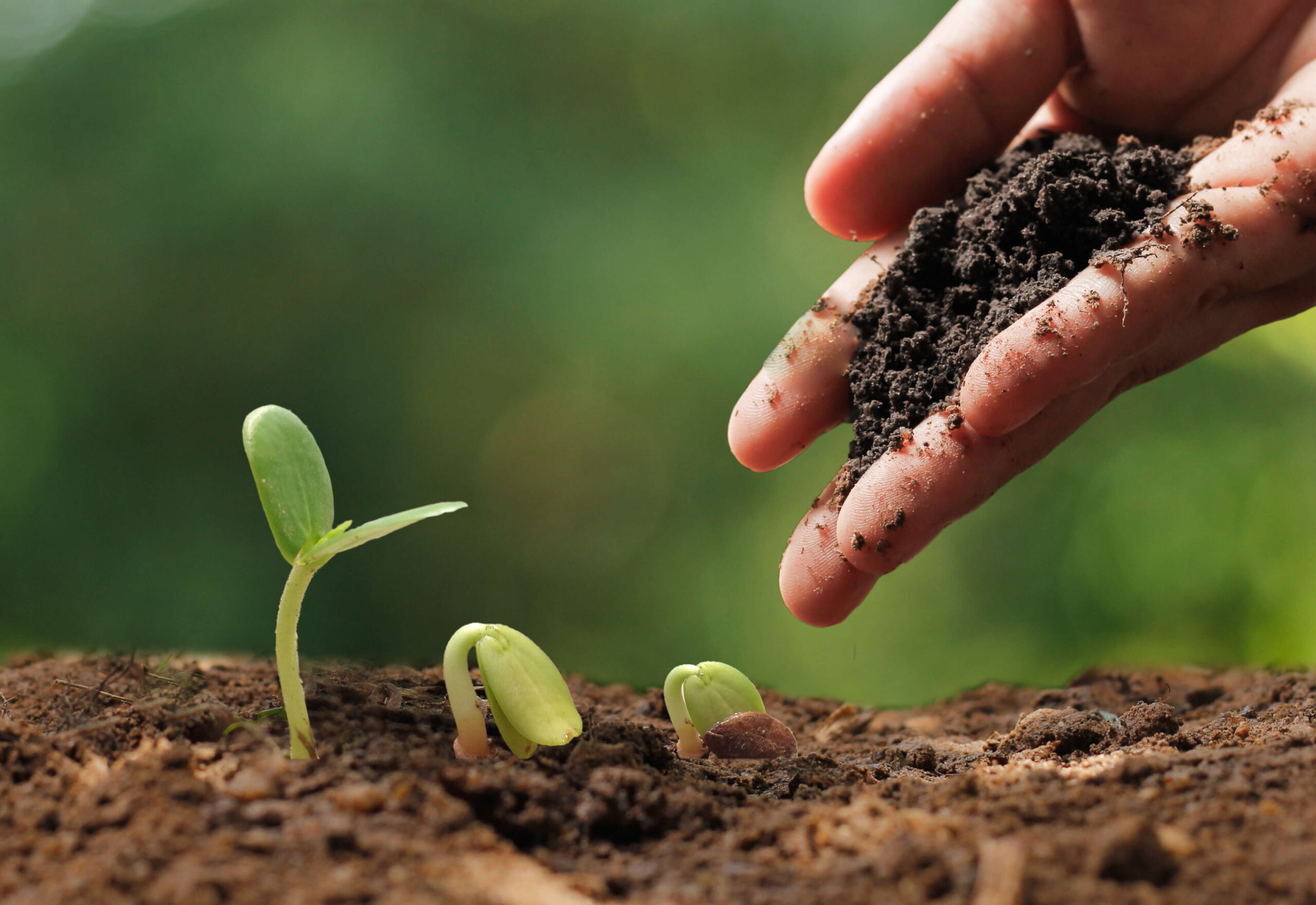 pronaf para produtores rurais